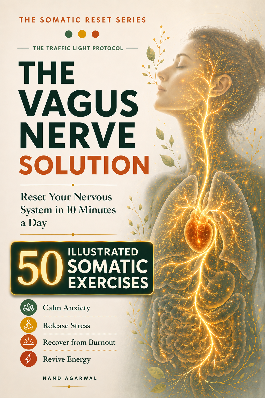 The Vagus Nerve Solution
